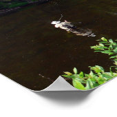 Au Sable Posterでフライフィッシング ポスター (角)