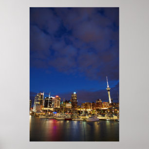 Auckland Night Skyline ポスター