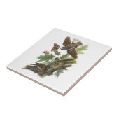 Audubonによって鞭貧し タイル (側面)