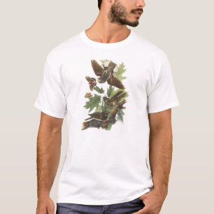 Audubonによって鞭貧し Tシャツ