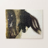 AudubonによるアメリカストライプののSkunkまたはSkunk ジグソーパズル (横)