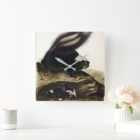 AudubonによるアメリカストライプののSkunkまたはSkunk スクエア壁時計 (ホーム)