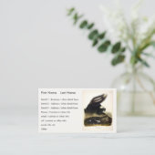 AudubonによるアメリカストライプののSkunkまたはSkunk 名刺 (スタンド正面)