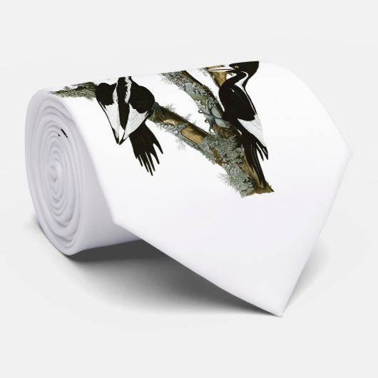 Audubonのアイボリー勘定書を出されたキツツキ ネクタイ (ロール)
