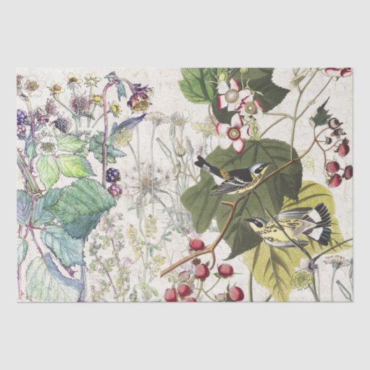 Audubonのアメリカムシクイの鳥の野生の花のティッシュペーパー 薄葉紙 (正面)