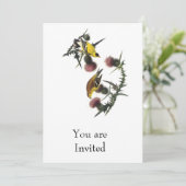 Audubonのアメリカ人のGoldfinch 招待状 (スタンド正面)