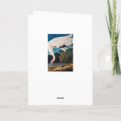 Audubonのアメリカ人のHoopingクレーン カード (裏面)