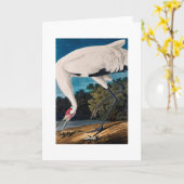 Audubonのアメリカ人のHoopingクレーン カード (黄色い花)