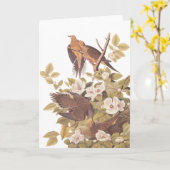 Audubonのカロライナのカメの鳩 カード (黄色い花)