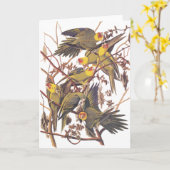 Audubonのカロライナインコ カード (黄色い花)