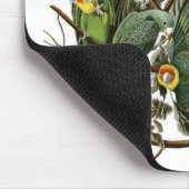 Audubonのカロライナインコ マウスパッド (コーナー)