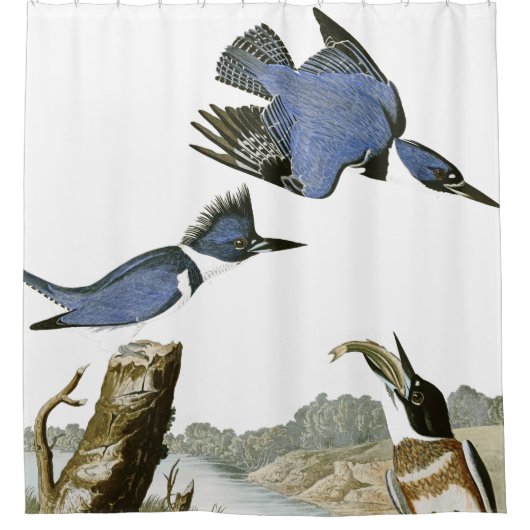 Audubonのカワセミの鳥の野性生物のシャワー・カーテン シャワーカーテン (正面)