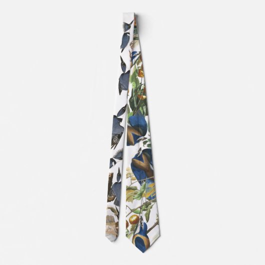 Audubonのカワセミの鳥の野性生物の動物のタイ ネクタイ (裏面)