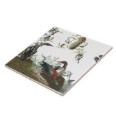 Audubonのコラージュの鳥の野性生物動物のタイル タイル (側面)