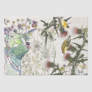 Audubonのフィンチの鳥の野生の花のティッシュペーパー 薄葉紙