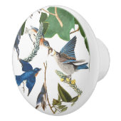 Audubonのブルーバードの鳥の野性生物動物のノブ セラミックノブ (右)