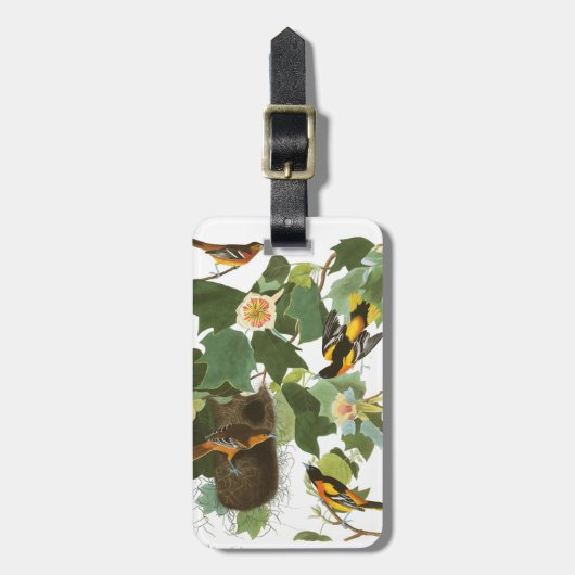 Audubonのプレート12ボルティモア・オリオールズ ラゲッジタグ (正面縦)