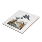 Audubonのプレート77のベルトを付けられたカワセミ タイル (側面)