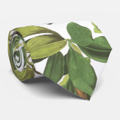 Audubonのペリカンの鳥の野性生物動物の葉のタイ ネクタイ (ロール)