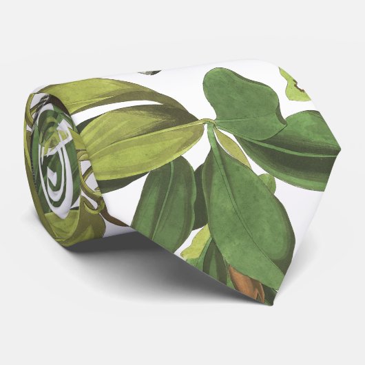Audubonのペリカンの鳥の野性生物動物の葉のタイ ネクタイ (ロール)