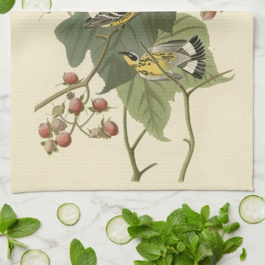 Audubonのマグノリアのアメリカムシクイ キッチンタオル (折り畳み)