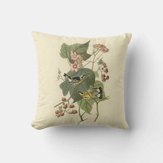 Audubonのマグノリアのアメリカムシクイ クッション (正面)