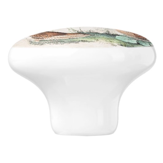 Audubonのミソサザイの鳥の野性生物動物のノブ セラミックノブ (側面)