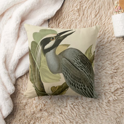 Audubonのヴィンテージ黄色によって戴冠させる夜鷲のペンキ クッション (ブランケット)