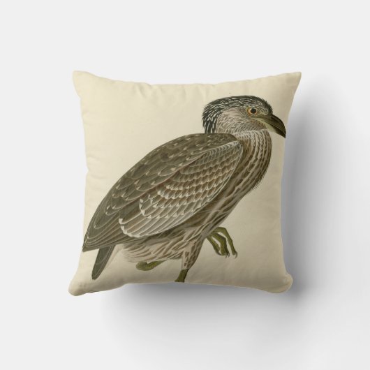 Audubonのヴィンテージ黄色によって戴冠させる夜鷲のペンキ クッション (裏面)