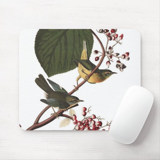 Audubonの余分アメリカムシクイ マウスパッド (マウス)