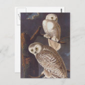Audubonの暗い怖い夜に雪のように白いフクロウ ポストカード (正面/裏面)