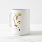 Audubonの鳥のマグ、ケンタッキーのアメリカムシクイ、15のoz. ツートーンマグカップ (正面左)