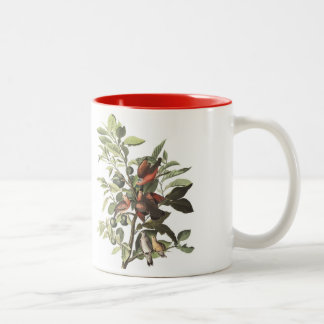 Audubonの鳥のマグ、地面は、15のoz潜りました。 ツートーン ツートーンマグカップ