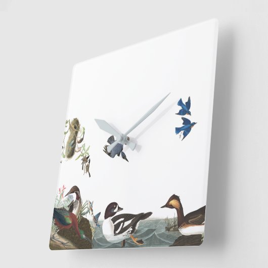 Audubonの鳥の野性生物動物のコラージュの柱時計 スクエア壁時計 (傾斜)