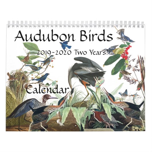 Audubonの鳥の野性生物動物2019の2020カレンダー カレンダー (カバー)