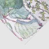 Audubonの鳩の鳥の野生の花によってはティッシュペーパーが開花します 薄葉紙 (詳細)