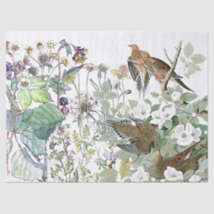 Audubonの鳩の鳥の野生の花によってはティッシュペーパーが開花します 薄葉紙