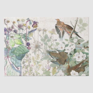 Audubonの鳩の鳥の野生の花によってはティッシュペーパーが開花します 薄葉紙