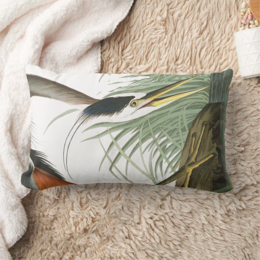 Audubonの鷲の鳥の野性生物のLumbarの枕 ランバークッション (ブランケット)