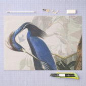 Audubonの鷲の鳥の野性生物動物のティッシュペーパー 薄葉紙 (クラフト)