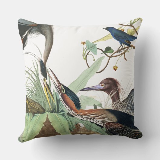 Audubonの鷲の鳥の野性生物動物の装飾用クッション クッション (裏面)