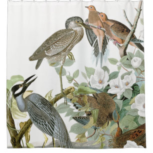 Audubonの鷲及び鳩の鳥の動物のシャワー・カーテン シャワーカーテン