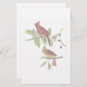 Audubonの（鳥）ショウジョウコウカンチョウの文房具 便箋 (正面/裏面)