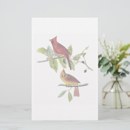 Audubonの（鳥）ショウジョウコウカンチョウの文房具 便箋 (スタンド正面)