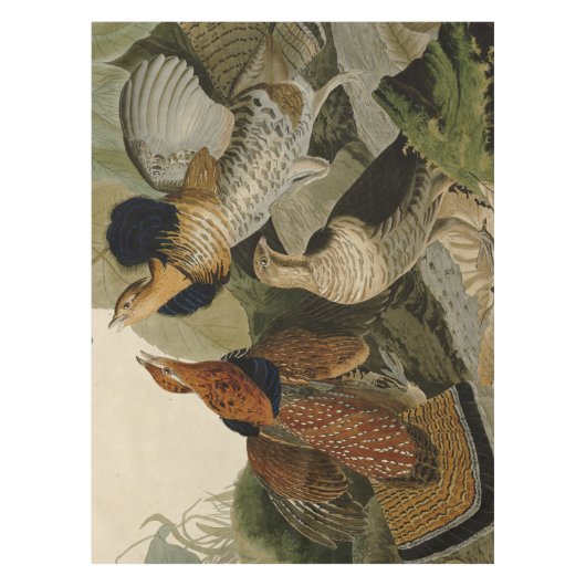 AudubonのRuffedライチョウのトリオの絵画 テーブルクロス (正面)