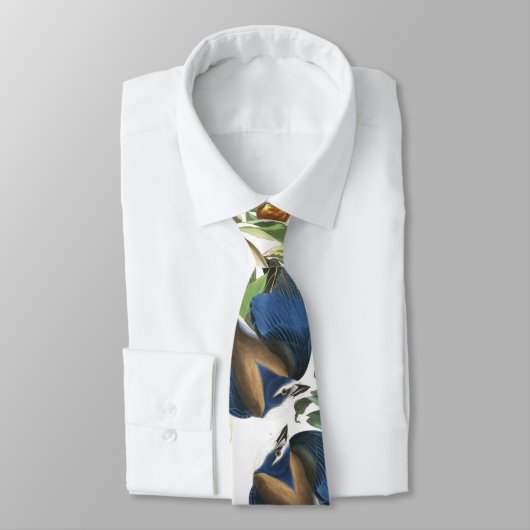 Audubonフロリダジェイの鳥の野性生物の動物のタイ ネクタイ (タイ)