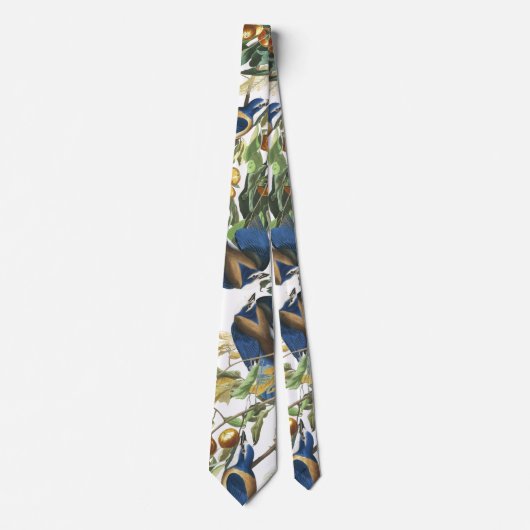 Audubonフロリダジェイの鳥の野性生物の動物のタイ ネクタイ (正面)