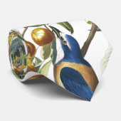 Audubonフロリダジェイの鳥の野性生物の動物のタイ ネクタイ (ロール)