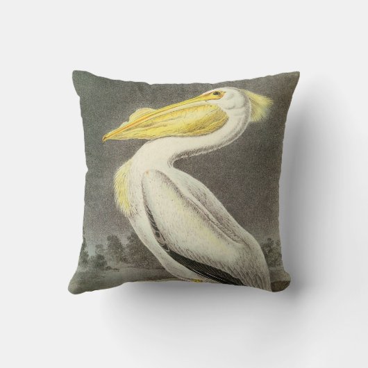 Audubon著アメリカのモモイロペリカン クッション (裏面)