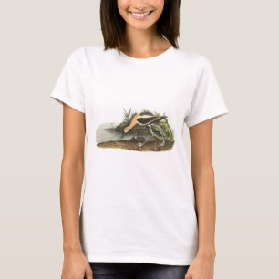 Audubon著アメリカのAvocet Tシャツ
